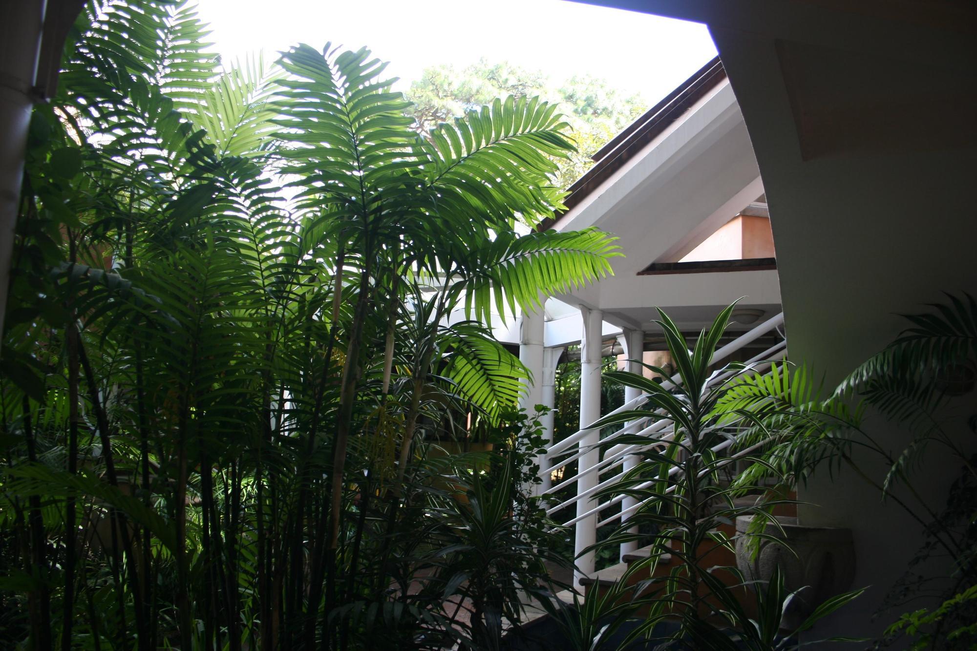 Hotel Ciudad Vieja Guatemala City Exterior foto
